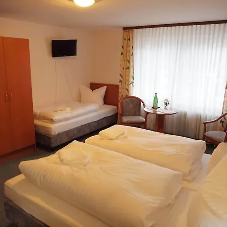 Hotel Engel Altenau-3
